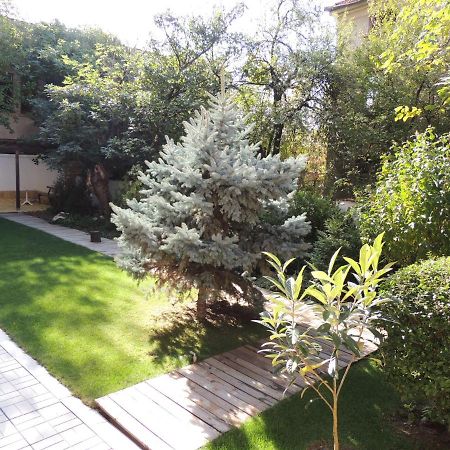 Apartament Fantasy خيساريا المظهر الخارجي الصورة